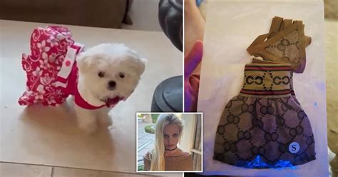 Britney Spears buys tiny Gucci bikini for pet dog 